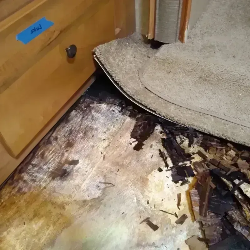 Wood Floor Water Damage in Winston, FL